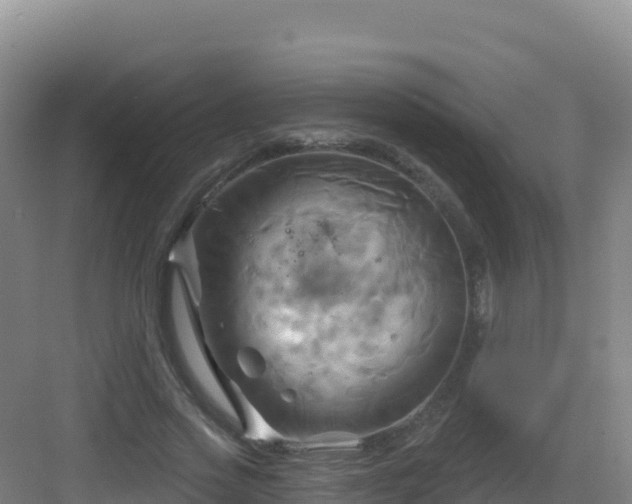 X0000083040733200702091408