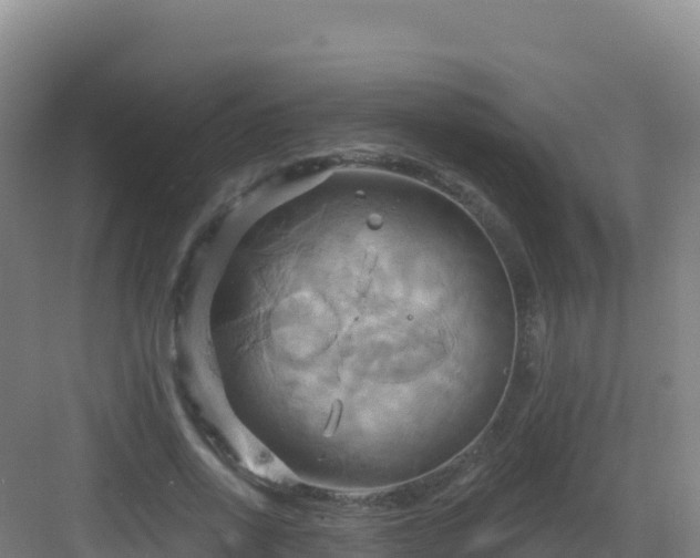 X0000083040734200702091408