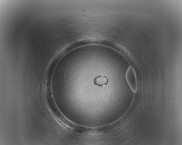 X0000083040736200702091408