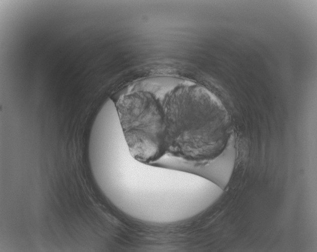 X0000083040737200702091408