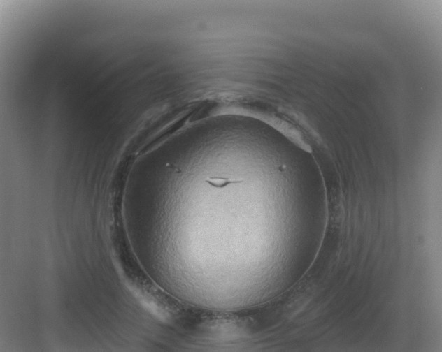 X0000083040738200702091408