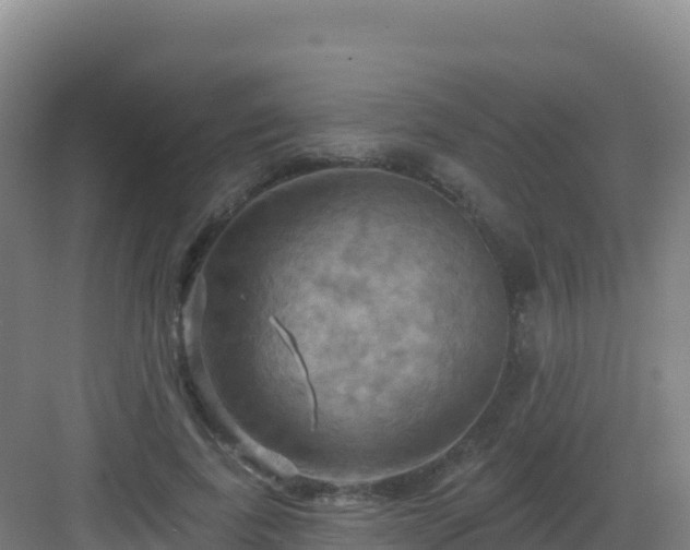 X0000083040739200702091408