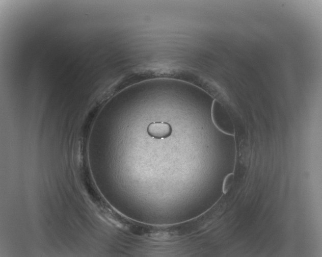 X0000083040740200702091408