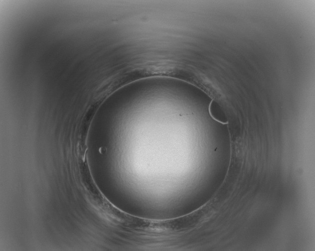 X0000083040741200702091408