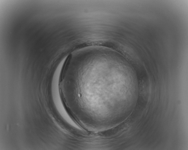 X0000083040742200702091408