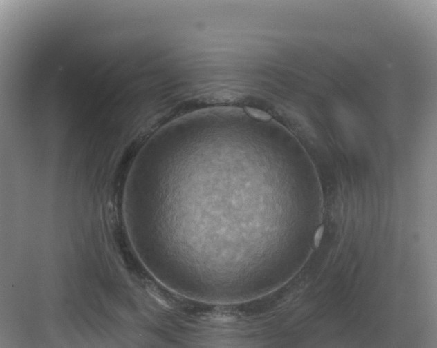 X0000083040743200702091408