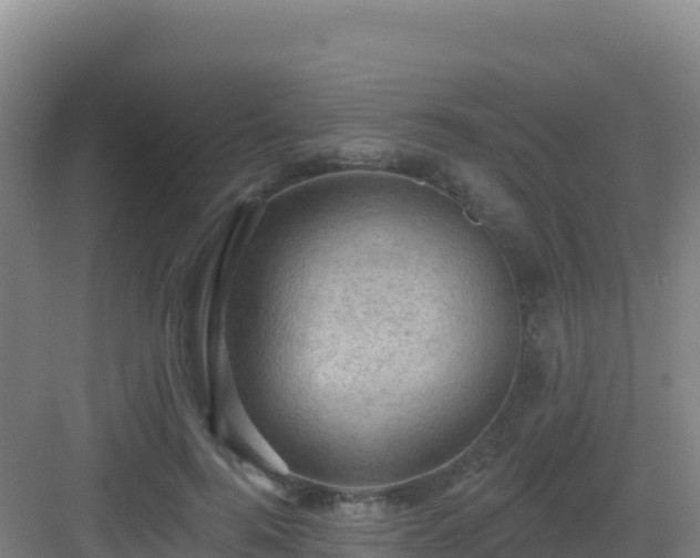 X0000083040744200702091408