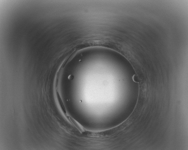 X0000083040746200702091408