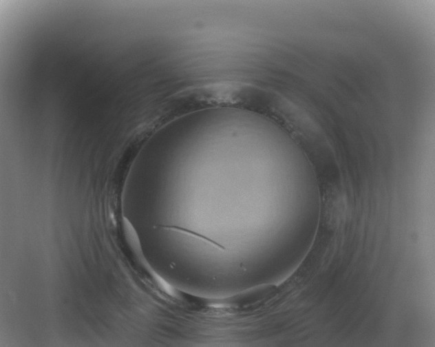 X0000083040747200702091408