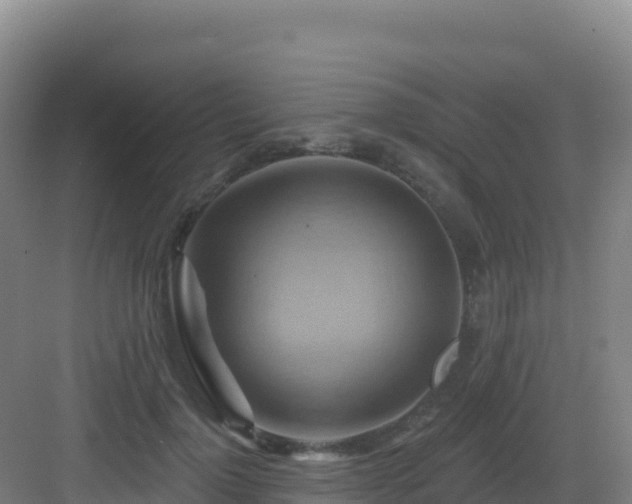 X0000083040748200702091408