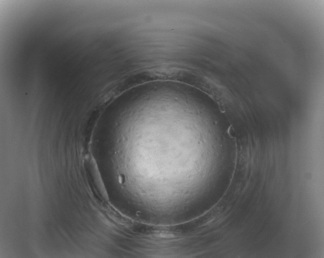 X0000083040749200702091408