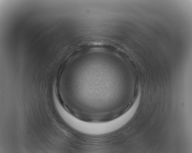 X0000083040750200702091408