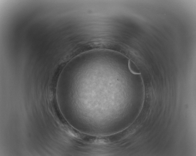 X0000083040751200702091408