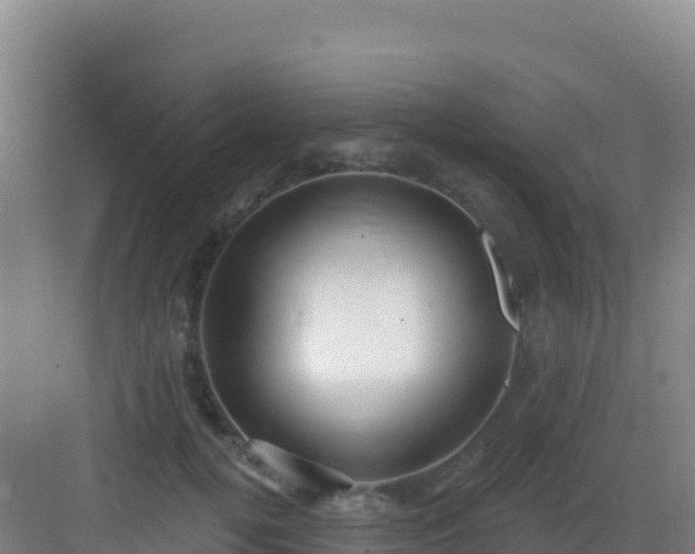 X0000083040752200702091408