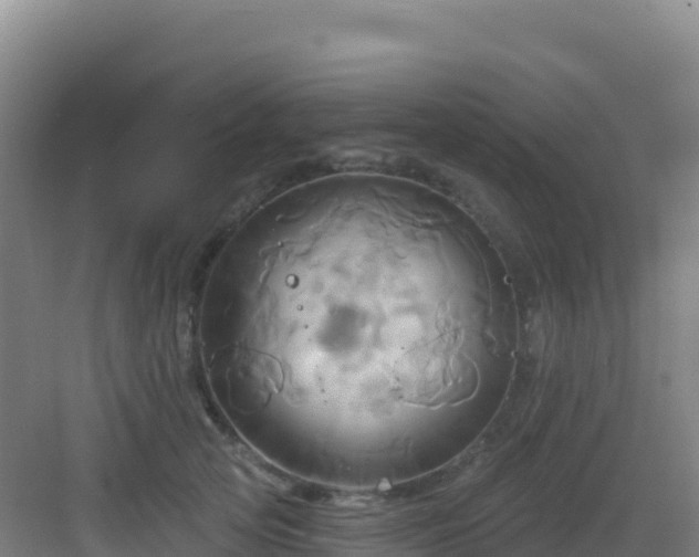 X0000083040753200702091408