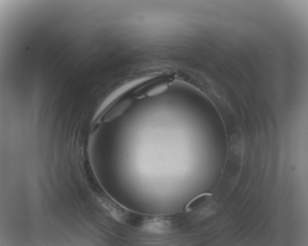 X0000083040754200702091408