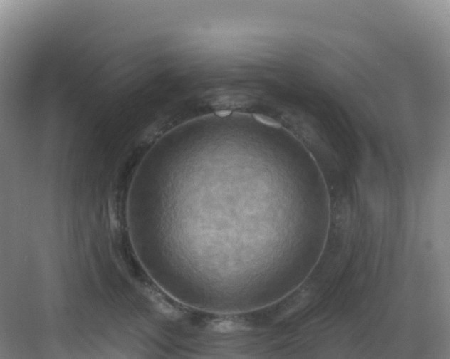 X0000083040755200702091409