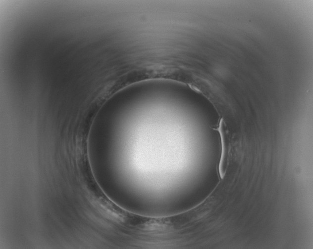 X0000083040756200702091409