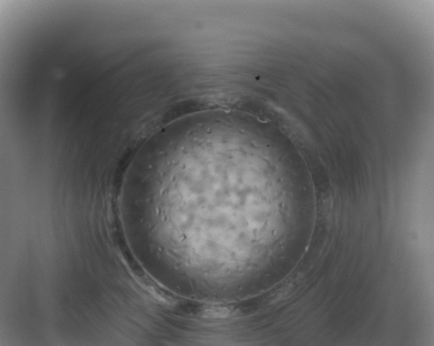 X0000083040757200702091409