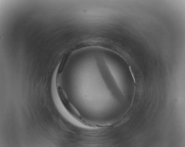 X0000083040758200702091409