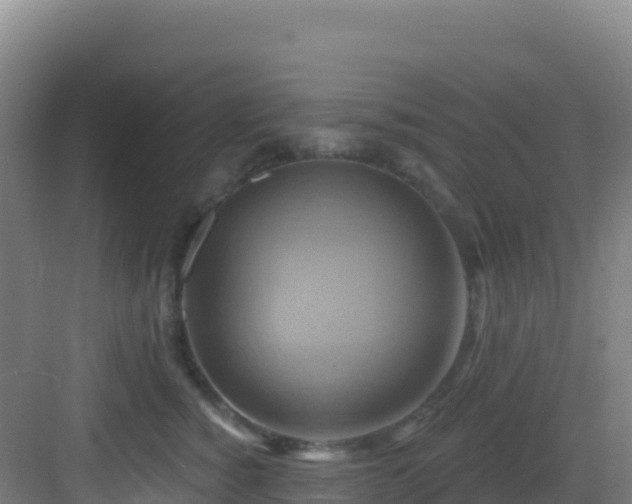 X0000083040760200702091409