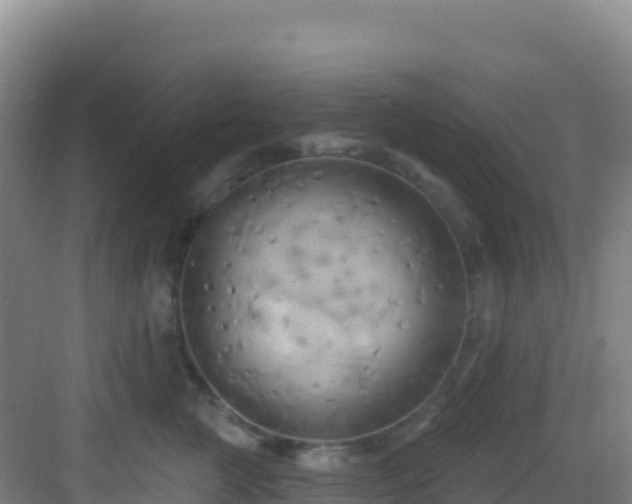 X0000083040761200702091409