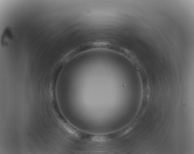 X0000083040762200702091409