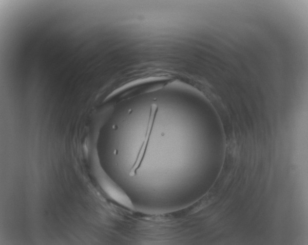 X0000083040763200702091409