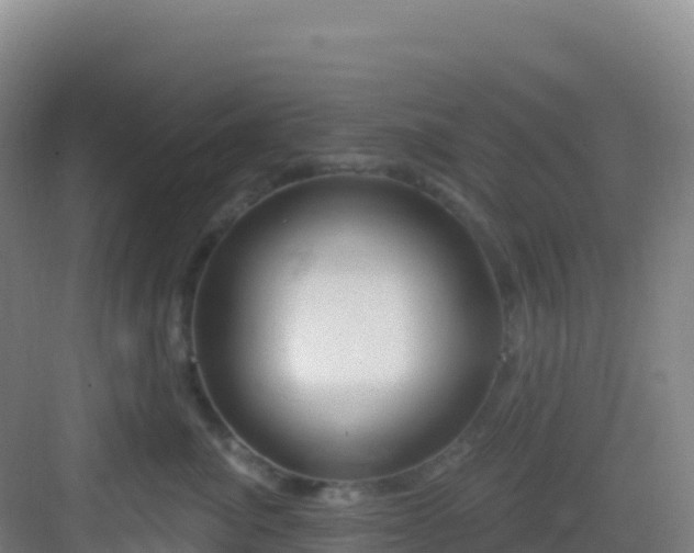 X0000083040764200702091409