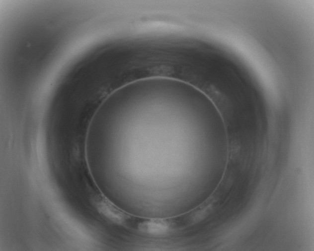 X0000083040765200702091409