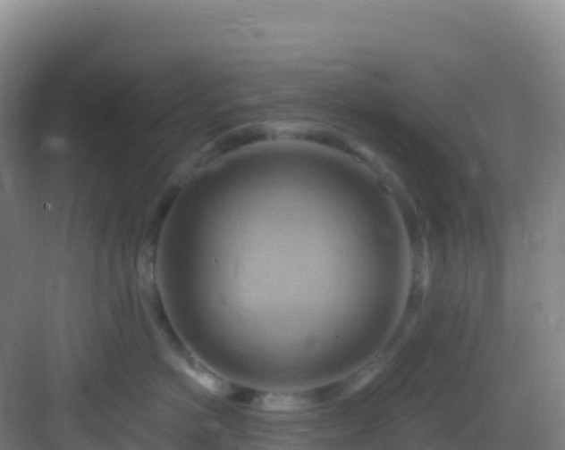 X0000083040766200702091409