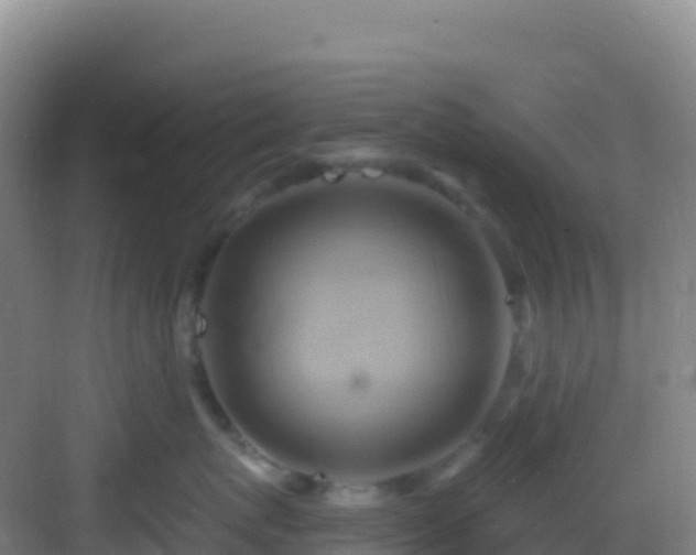 X0000083040767200702091409