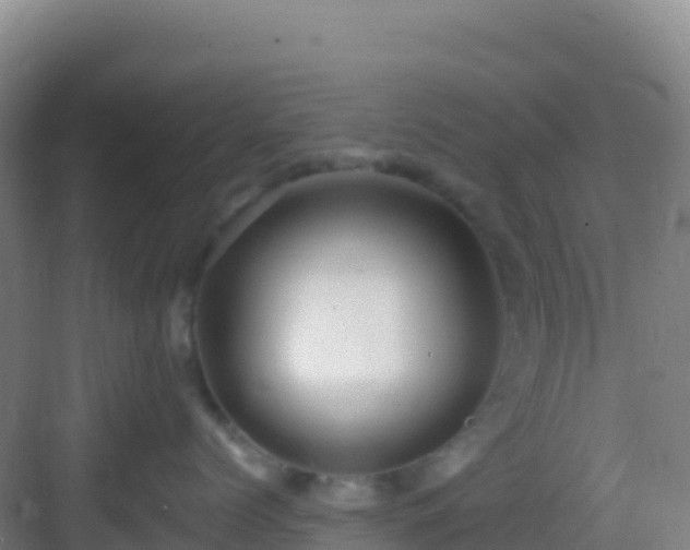 X0000083040768200702091409