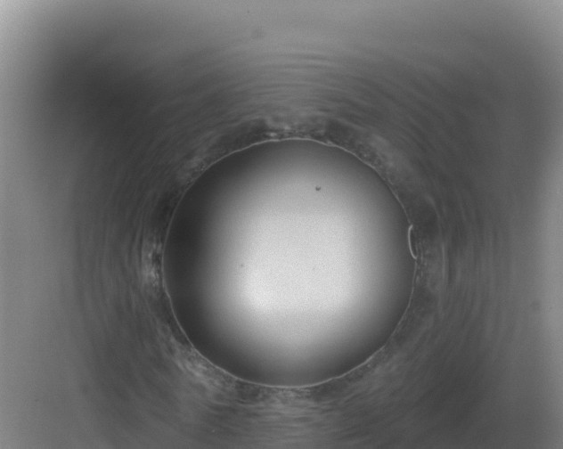 X0000083040770200702091408