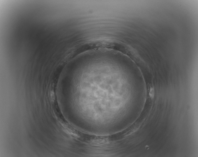 X0000083040771200702091408