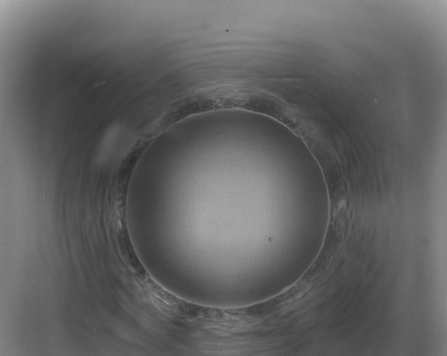 X0000083040772200702091408