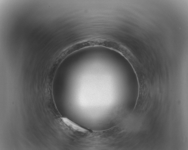 X0000083040773200702091408