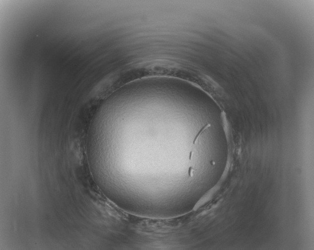 X0000083040774200702091408