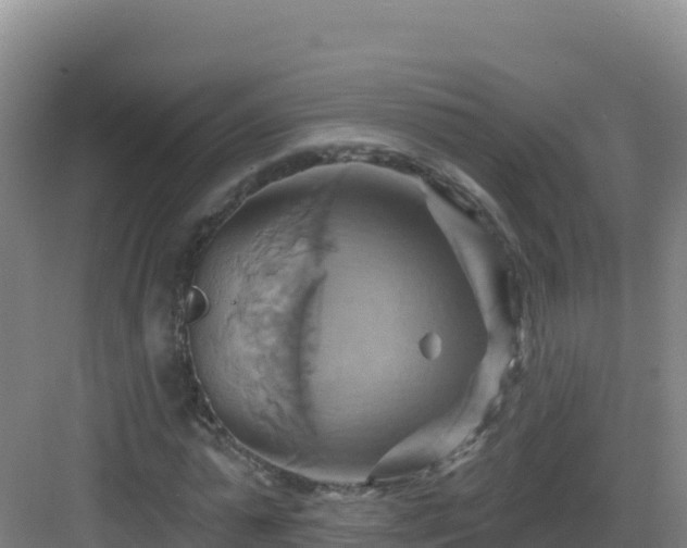 X0000083040775200702091408