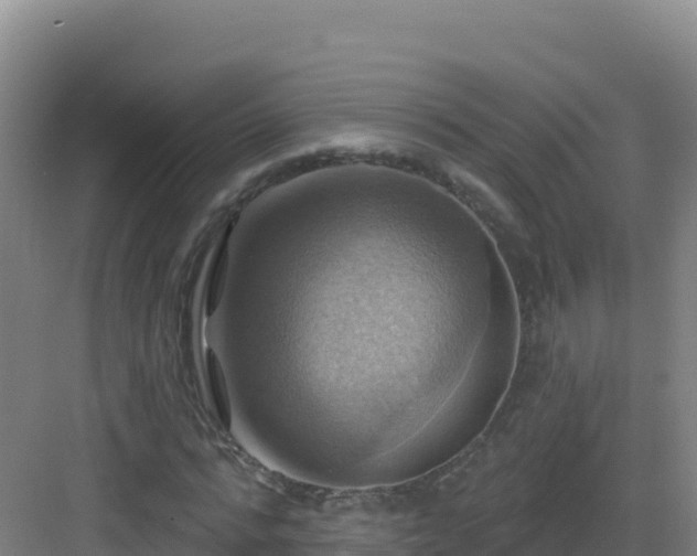 X0000083040776200702091408