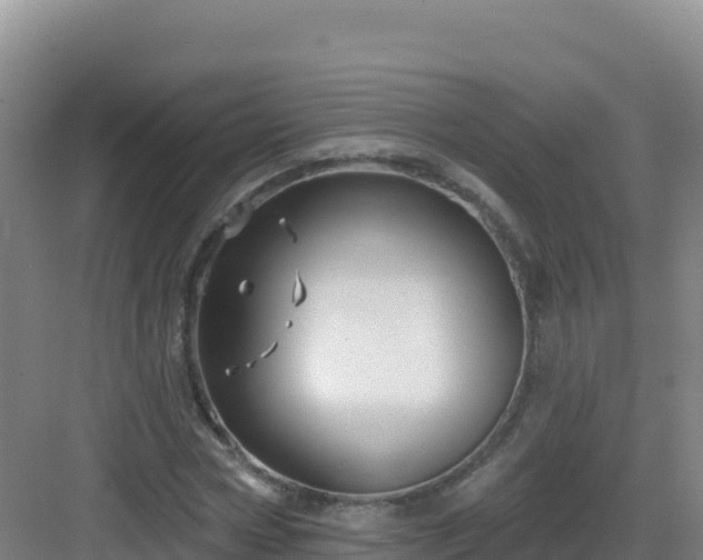 X0000083040778200702091408