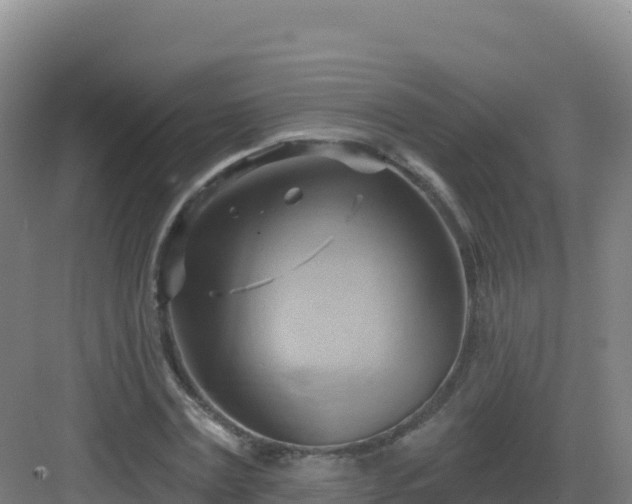 X0000083040779200702091408