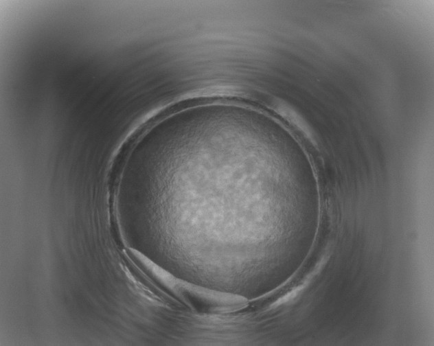 X0000083040781200702091408