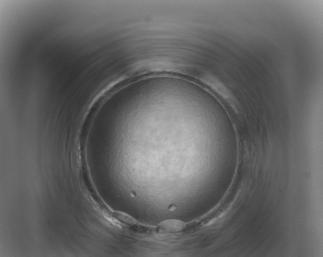 X0000083040782200702091408