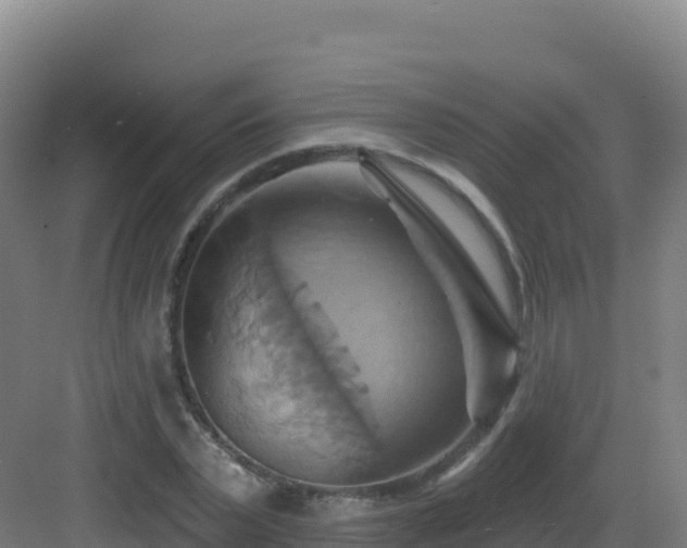 X0000083040783200702091408