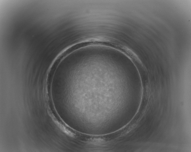 X0000083040784200702091408