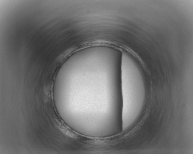 X0000083040785200702091408