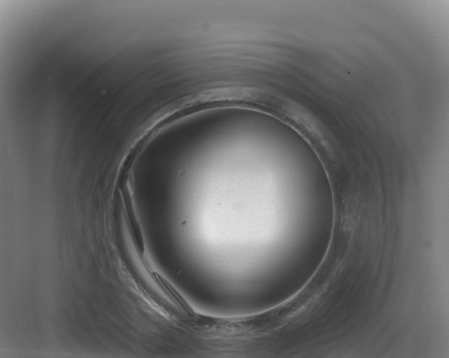 X0000083040786200702091408