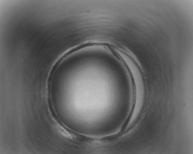 X0000083040787200702091408