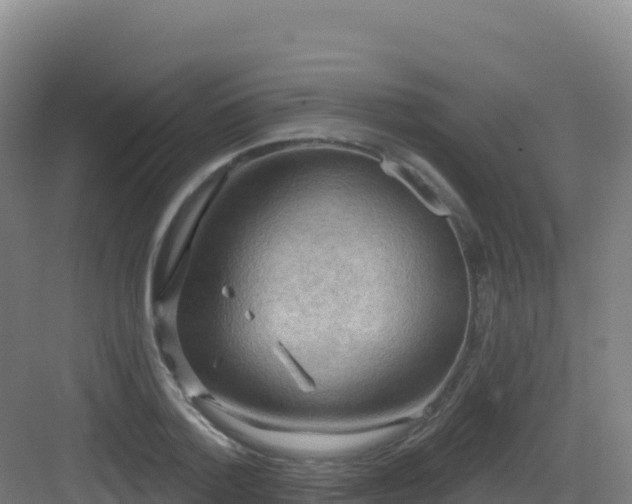 X0000083040788200702091408